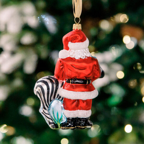 Santa Claus with zebra 1k0a6432
