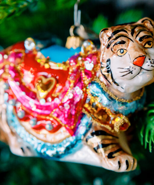 Asian tiger  1k0a7440