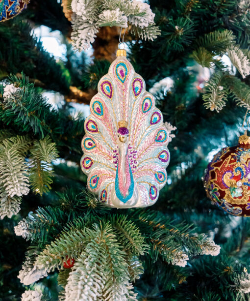 White-purple peacock  1k0a6592