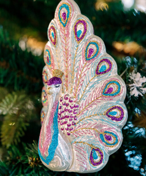 White-purple peacock  1k0a6594