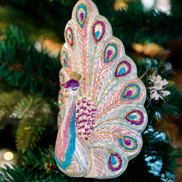 White-purple peacock 1k0a6594