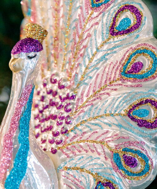 White-purple peacock  1k0a6595