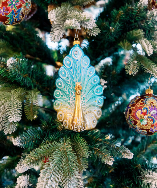 Turquoise peacock with gold  1k0a6599