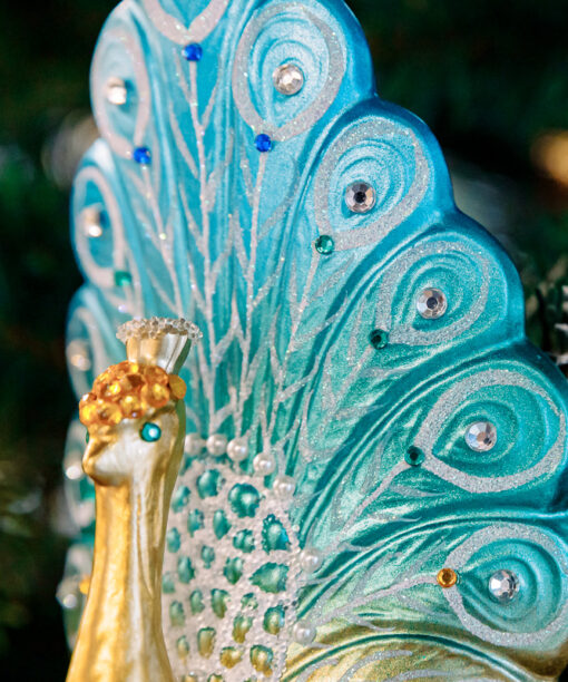 Turquoise peacock with gold  1k0a6601