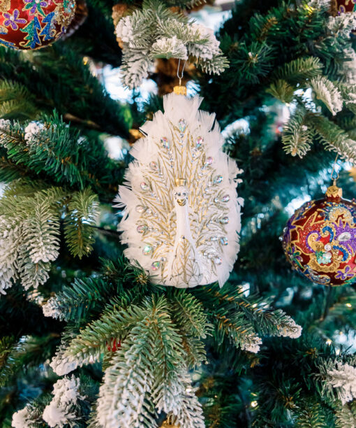 White peacock with feathers  1k0a6602