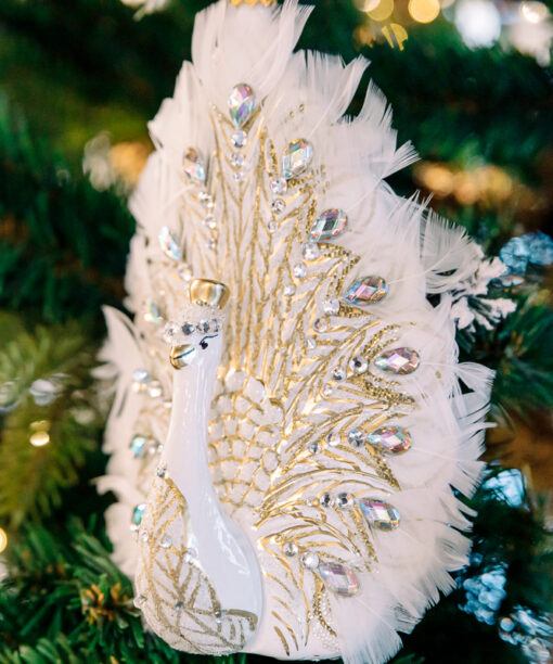 White peacock with feathers  1k0a6603