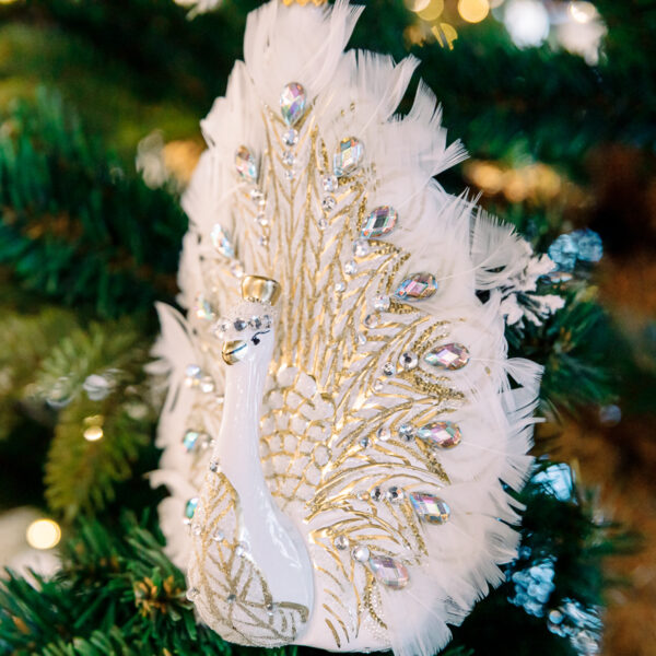 White peacock with feathers 1k0a6603