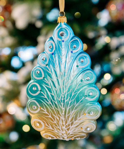 Turquoise peacock with gold  1k0a6714