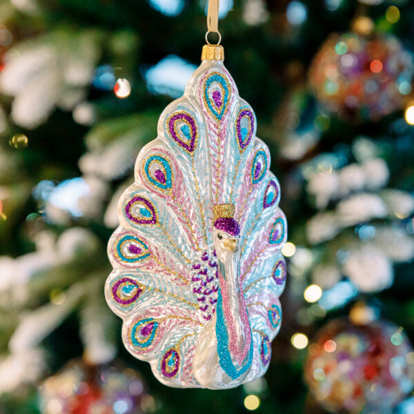 White-purple peacock 1k0a6718