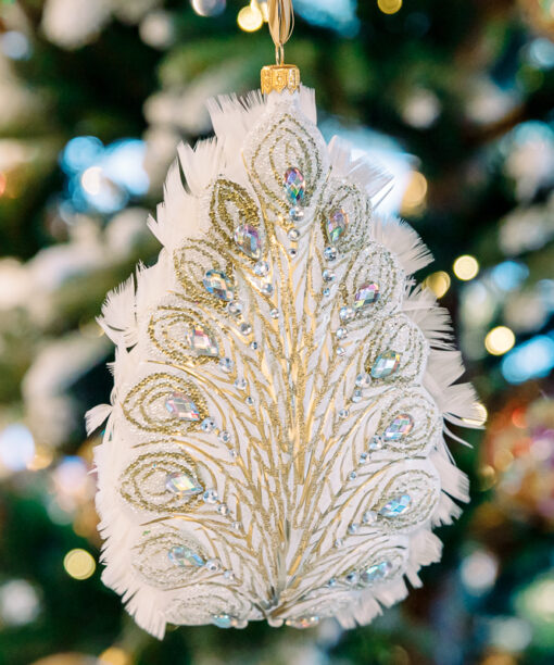 White peacock with feathers  1k0a6732