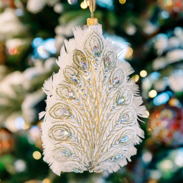 White peacock with feathers 1k0a6732