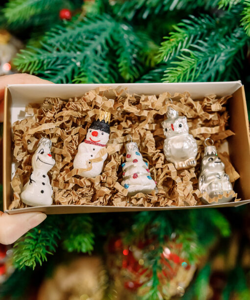 Mini set - Winter season 1k0a6877