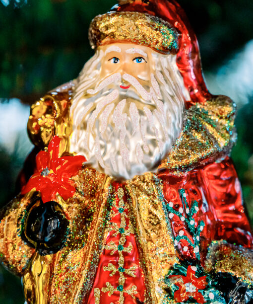 Santa Claus with a bag of flowers  1k0a7371