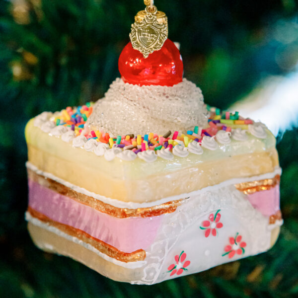Cake with cherry 1k0a7373