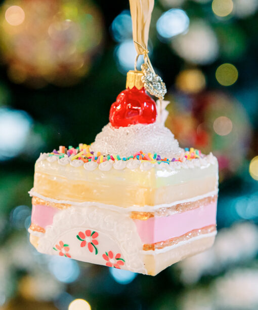 Cake with cherry 1k0a7384