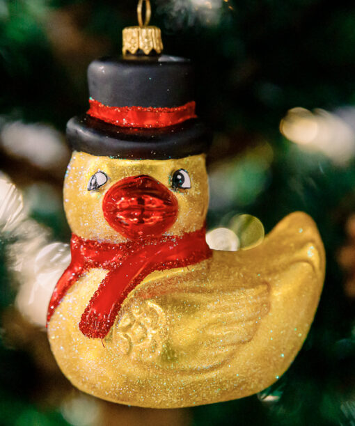 Ducky Strange 1k0a6525