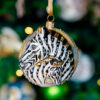 African zebras 1k0a7412