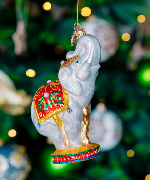 Circus elephant 1k0a7428