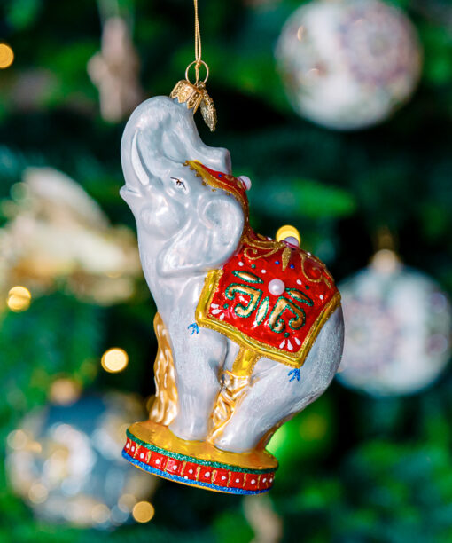 Circus elephant 1k0a7429