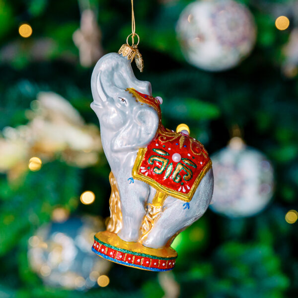 Circus elephant 1k0a7429