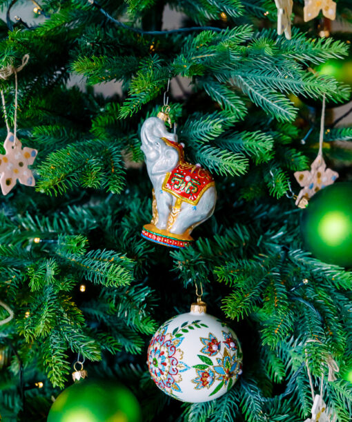 Circus elephant  1k0a7430