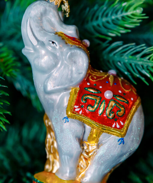 Circus elephant  1k0a7431