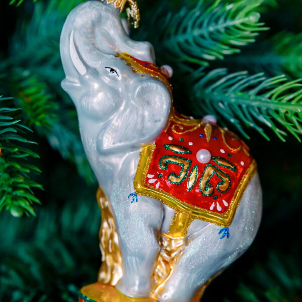 Circus elephant 1k0a7431