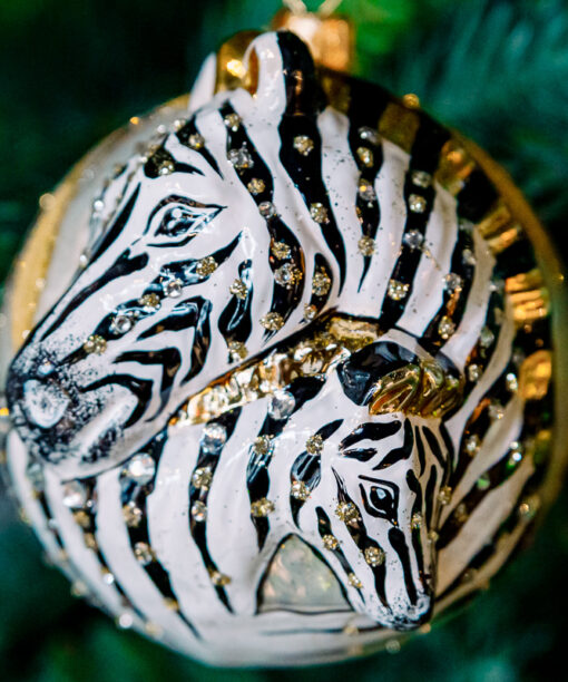 African zebras  1k0a7444