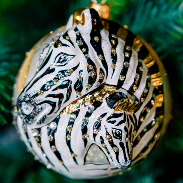 African zebras 1k0a7444