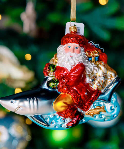 Santa on shark 1k0a7503