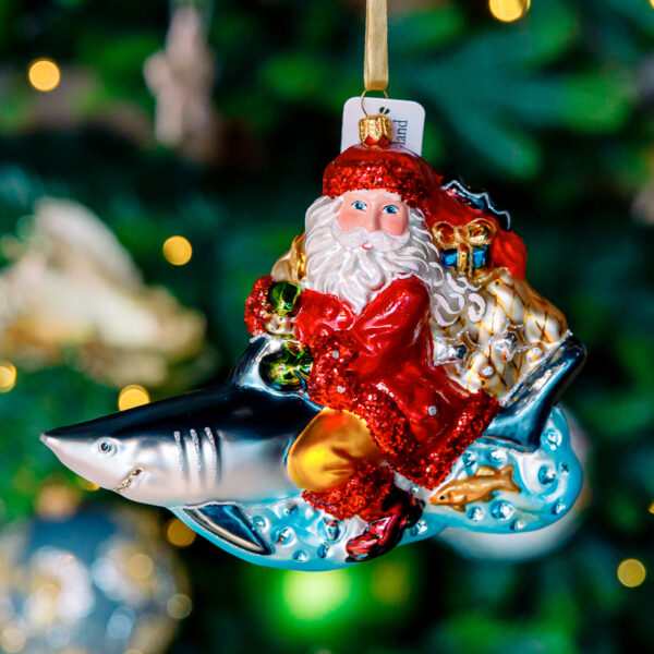 Santa on shark 1k0a7503