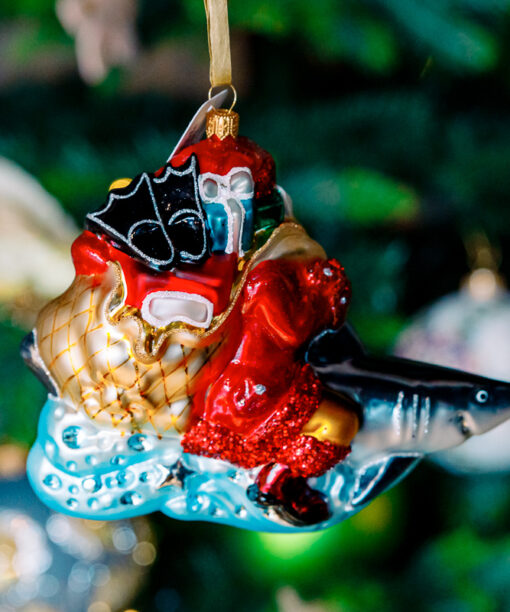 Santa on shark 1k0a7504