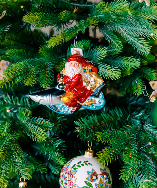 Santa on shark  1k0a7511