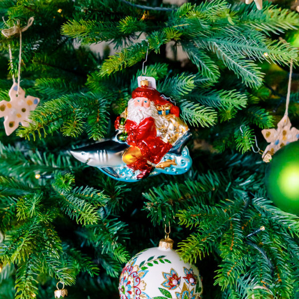 Santa on shark 1k0a7511