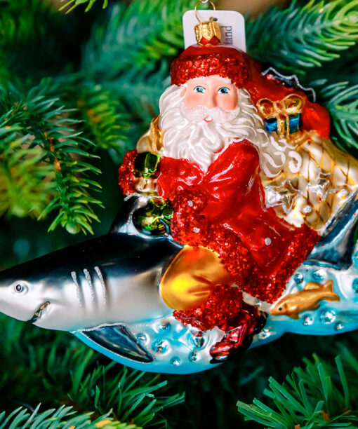 Santa on shark  1k0a7512