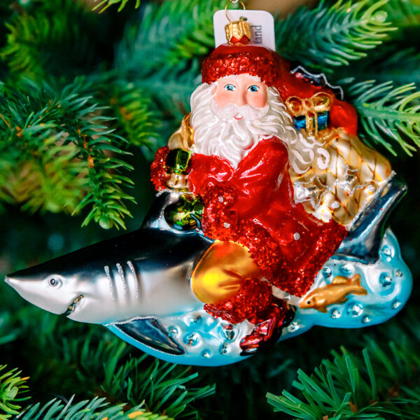 Santa on shark 1k0a7512
