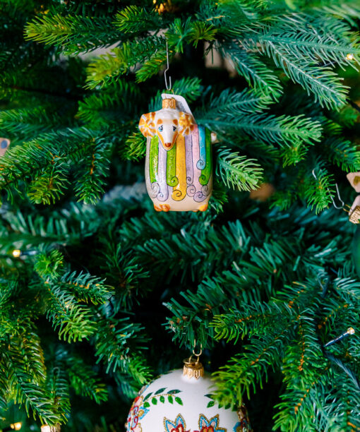 The zodiacal ram  1k0a7528