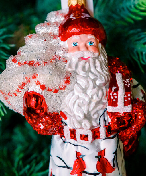 Santa in cardinals  1k0a7531