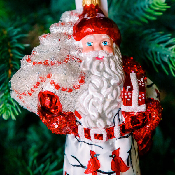 Santa in cardinals 1k0a7531