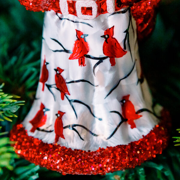 Santa in cardinals 1k0a7532