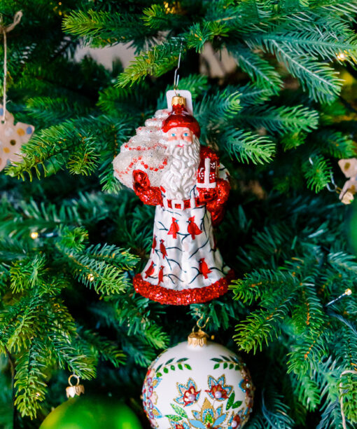 Santa in cardinals  1k0a7533