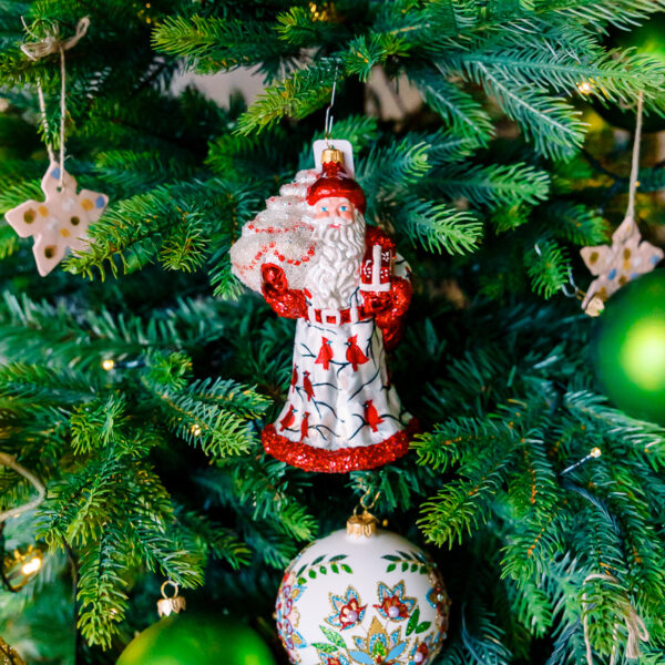 Santa in cardinals 1k0a7533