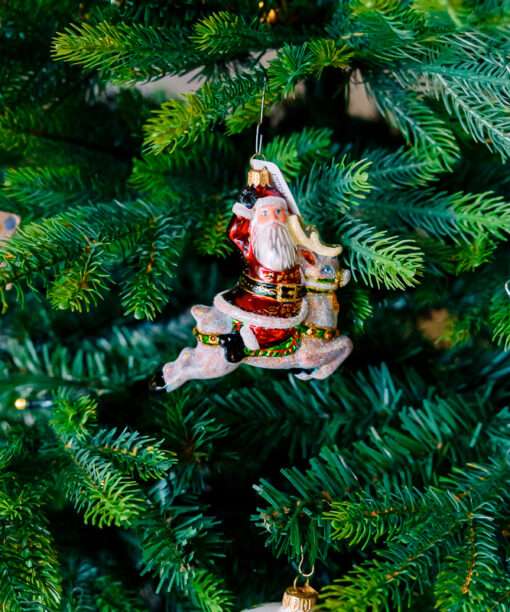 Santa on reindeer 1k0a7537