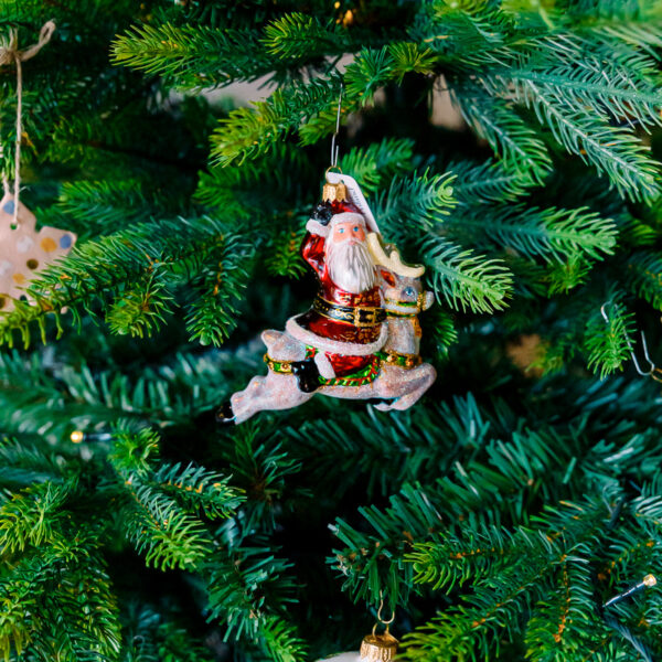 Santa on reindeer 1k0a7537