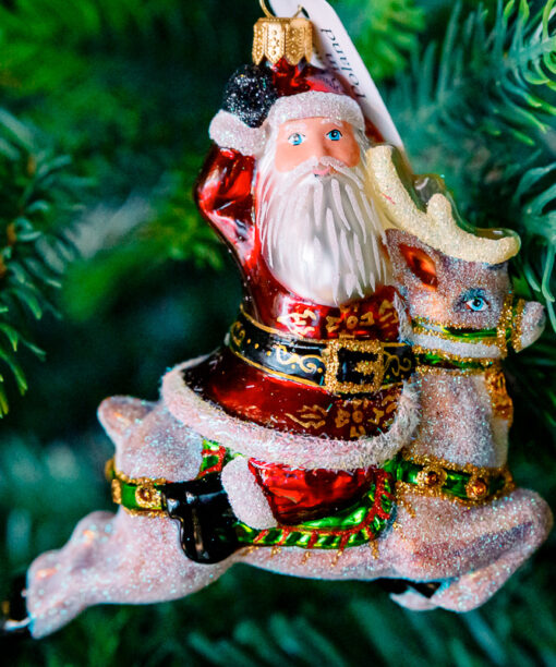 Santa on reindeer  1k0a7538