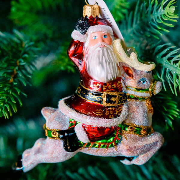 Santa on reindeer 1k0a7538
