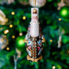 Santa Claus in peacock feathers 1k0a7544