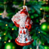 Santa in cardinals 1k0a7550