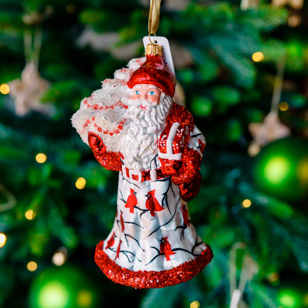 Santa in cardinals 1k0a7550
