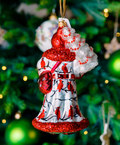 Santa in cardinals 1k0a7551